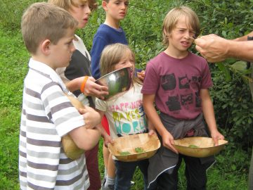 Young children harvesting wild foods for herb bannock bread