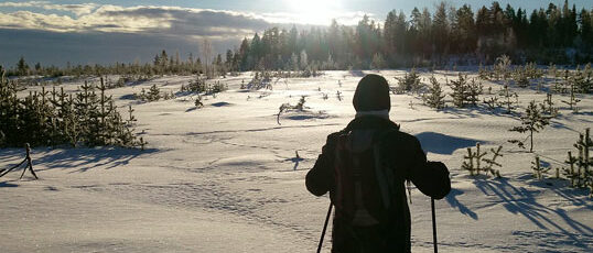 Tours & Expeditions