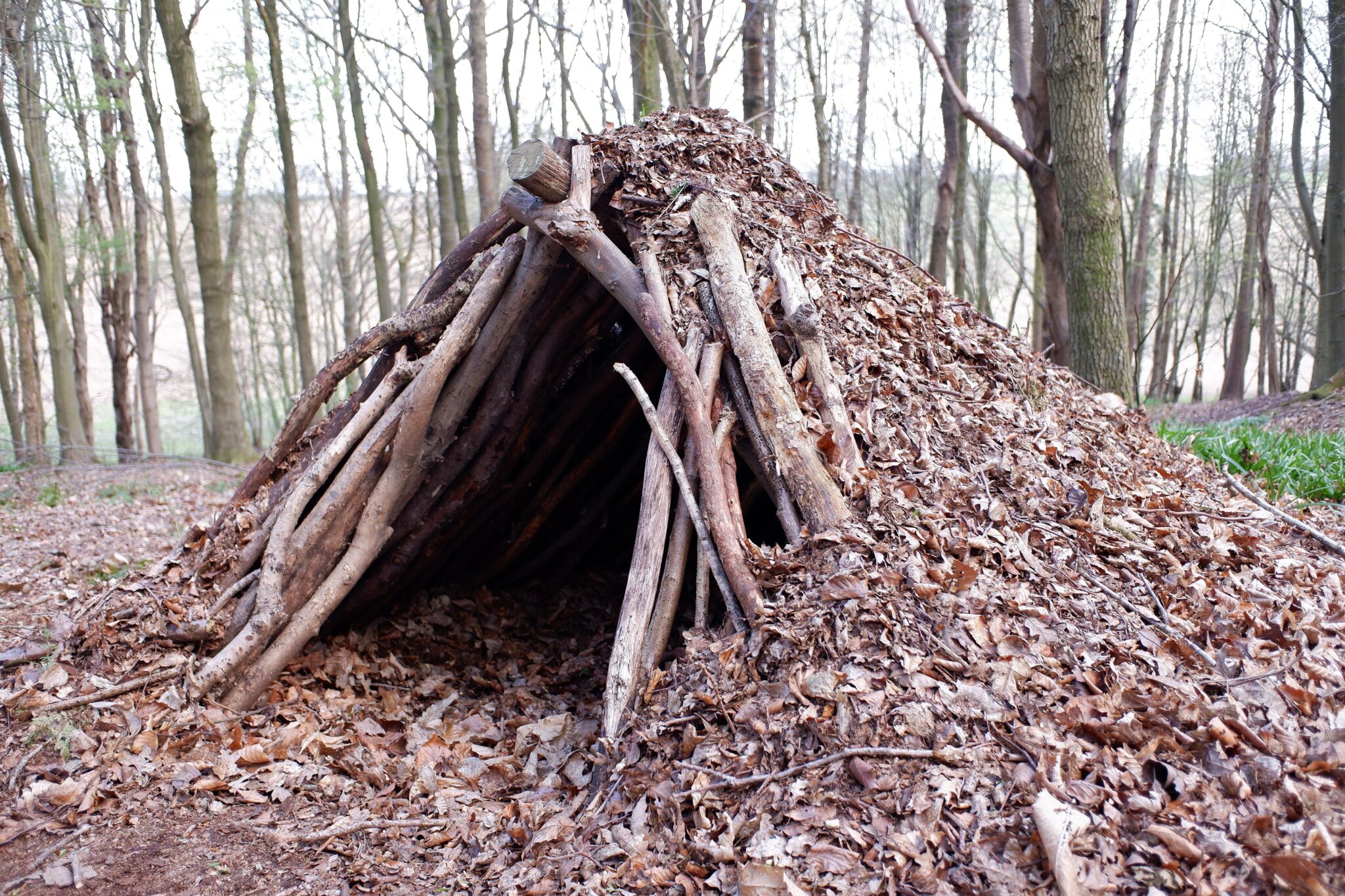 Really Wild Bushcraft: getting out into the wild and closer to nature.